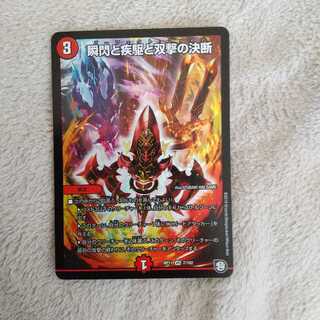 瞬閃と疾駆と双撃の決断