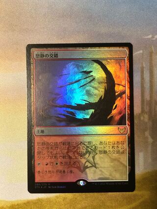MTG 怒静の交錯 Foil 日本語