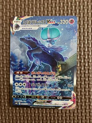 こくばバドレックスVMAX HR SA