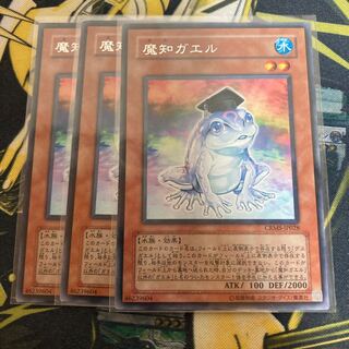 マドレース3195魔知ガエル レア