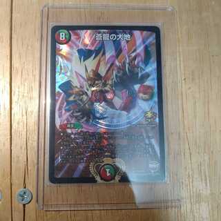 しののんさん専用【美品】蒼龍の大地　プロモ