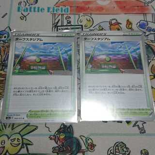 ターフスタジアム 2枚