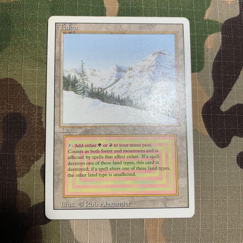 taiga 英 デュアルランド