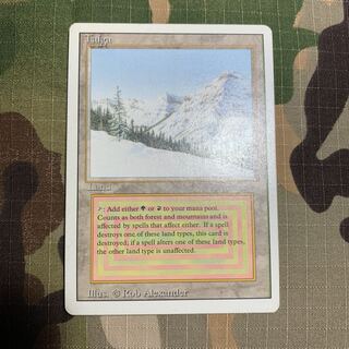 taiga 英 デュアルランド