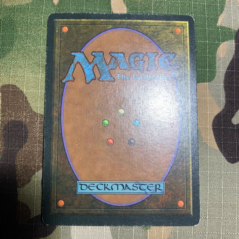 taiga 英 デュアルランド