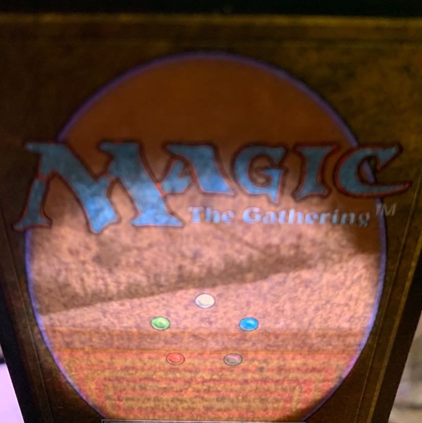 taiga 英 デュアルランド