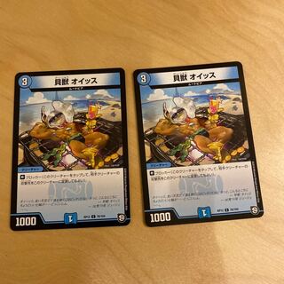 Senior who turned into a card Shellbug Oiss.