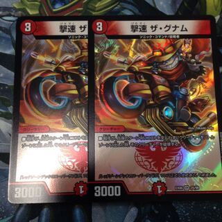 ザグナム 2枚セット