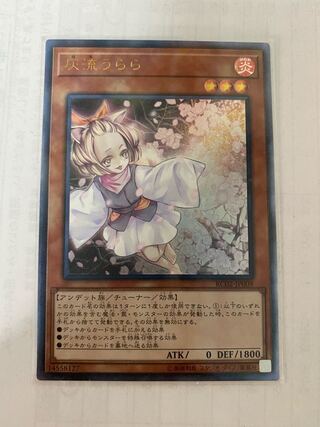 パトラ様　専用