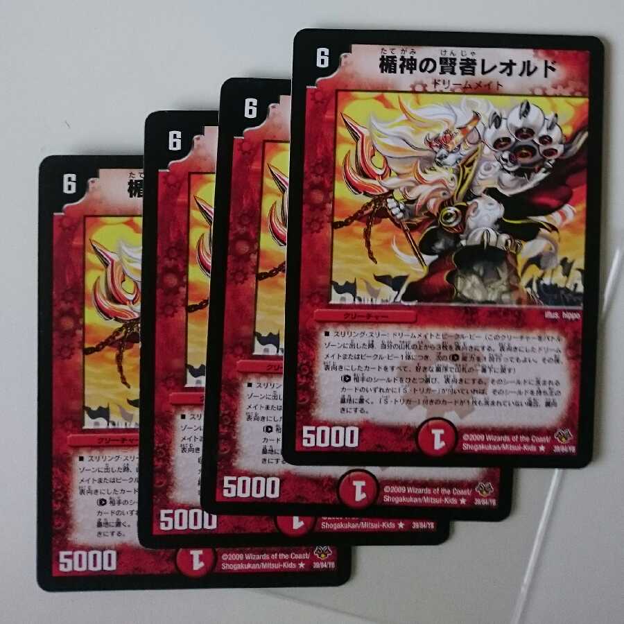 楯神の賢者レオルド