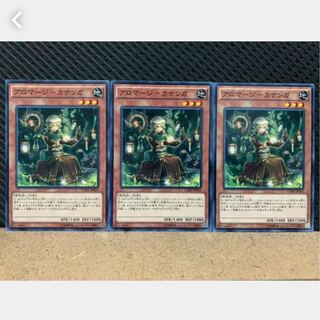 【ぽぽたん】遊戯王 720 アロマージ-カナンガ 3枚 ノーマル