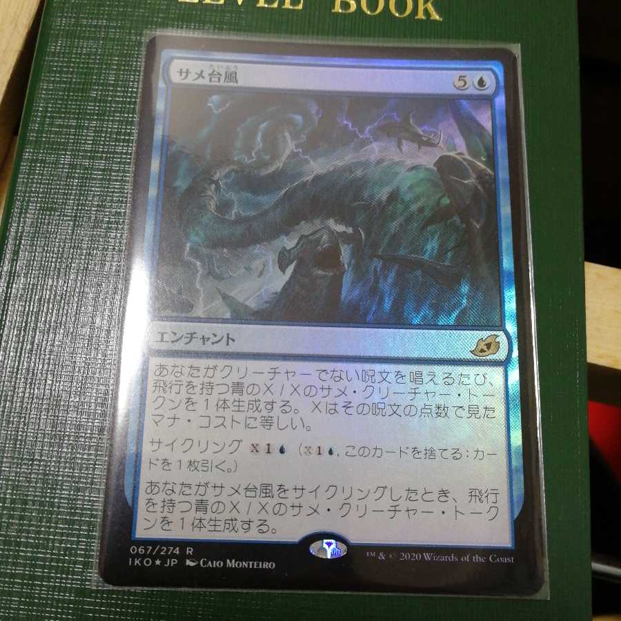 Shark Typhoon foil