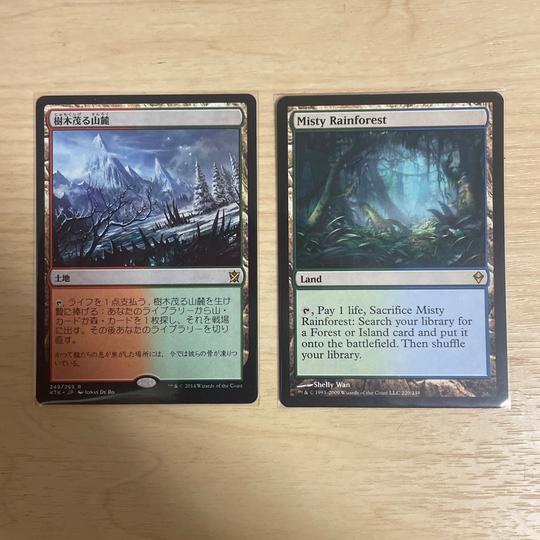 MTG 霧深い雨林　樹木茂る山麓