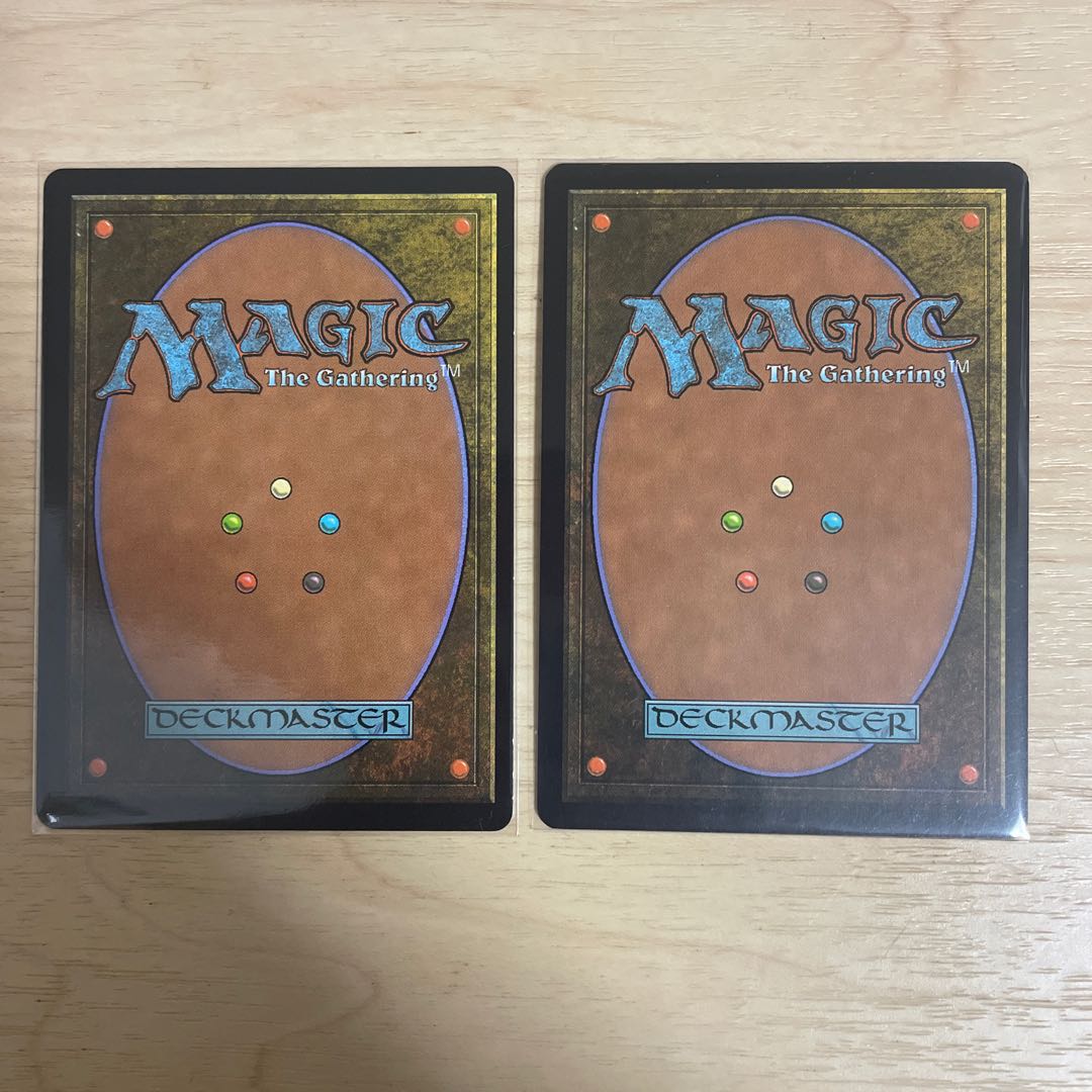 MTG 霧深い雨林　樹木茂る山麓