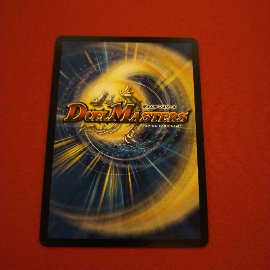 「絶対の楯騎士」