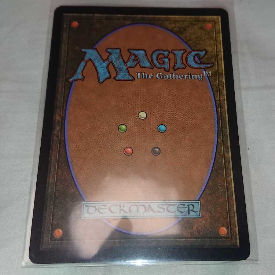 山背骨のドラゴン レア