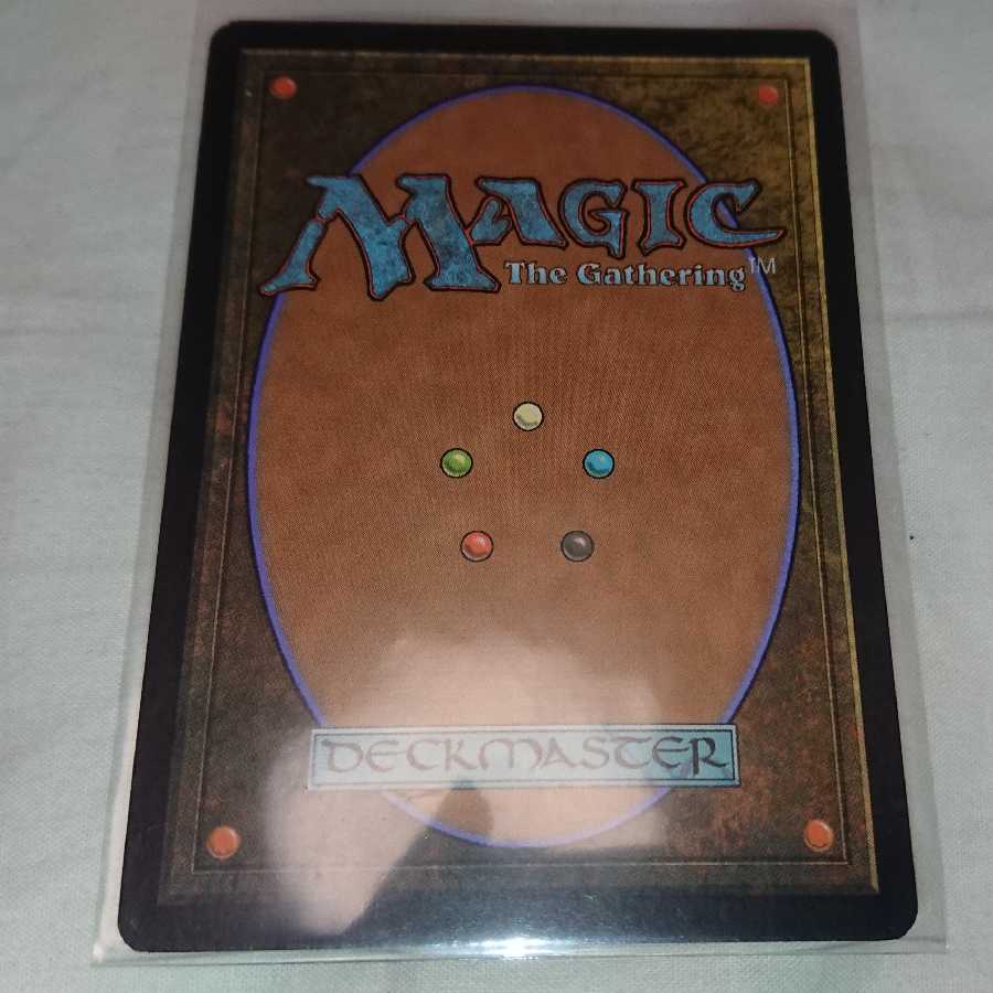 山背骨のドラゴン レア　※在庫3枚