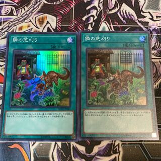 隣の芝刈り スーパーレア×2