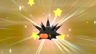 ガラルバチンウニ500円オリパ　25口用