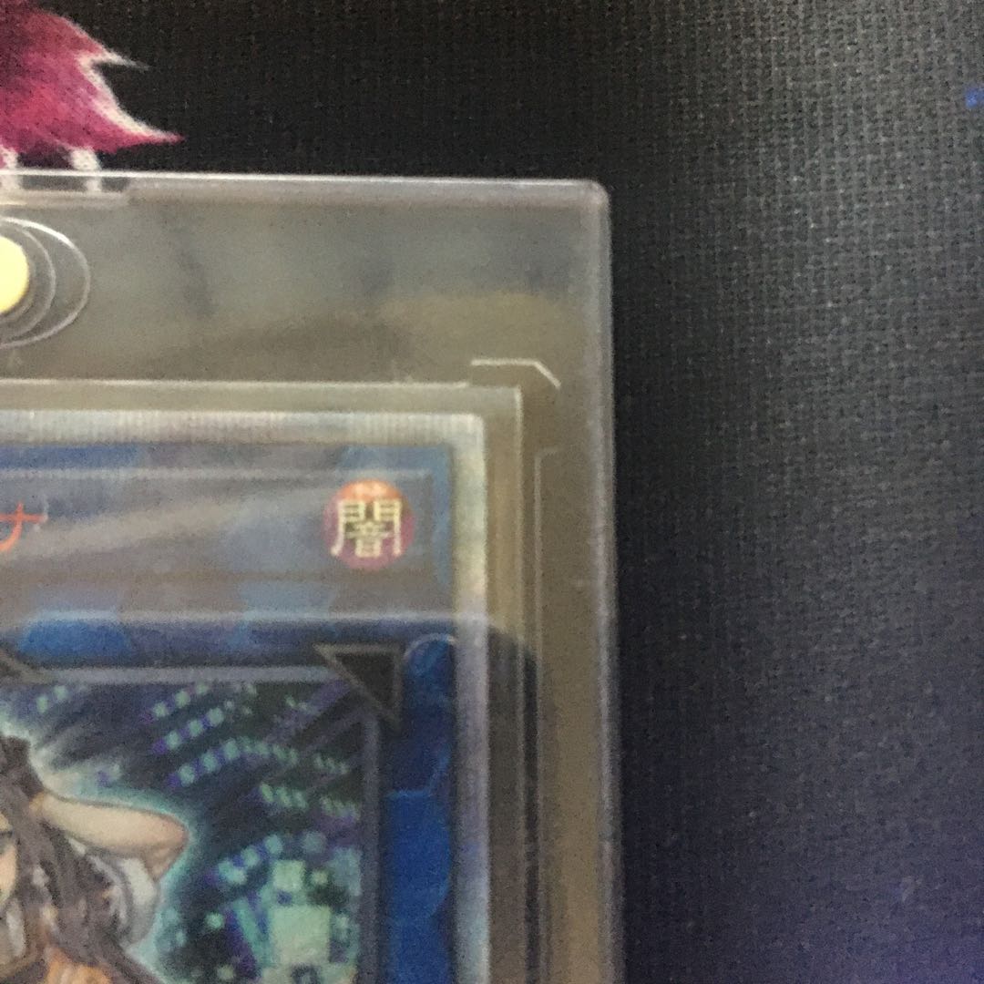 28日まで値引き　I：Pマスカレーナ 20th