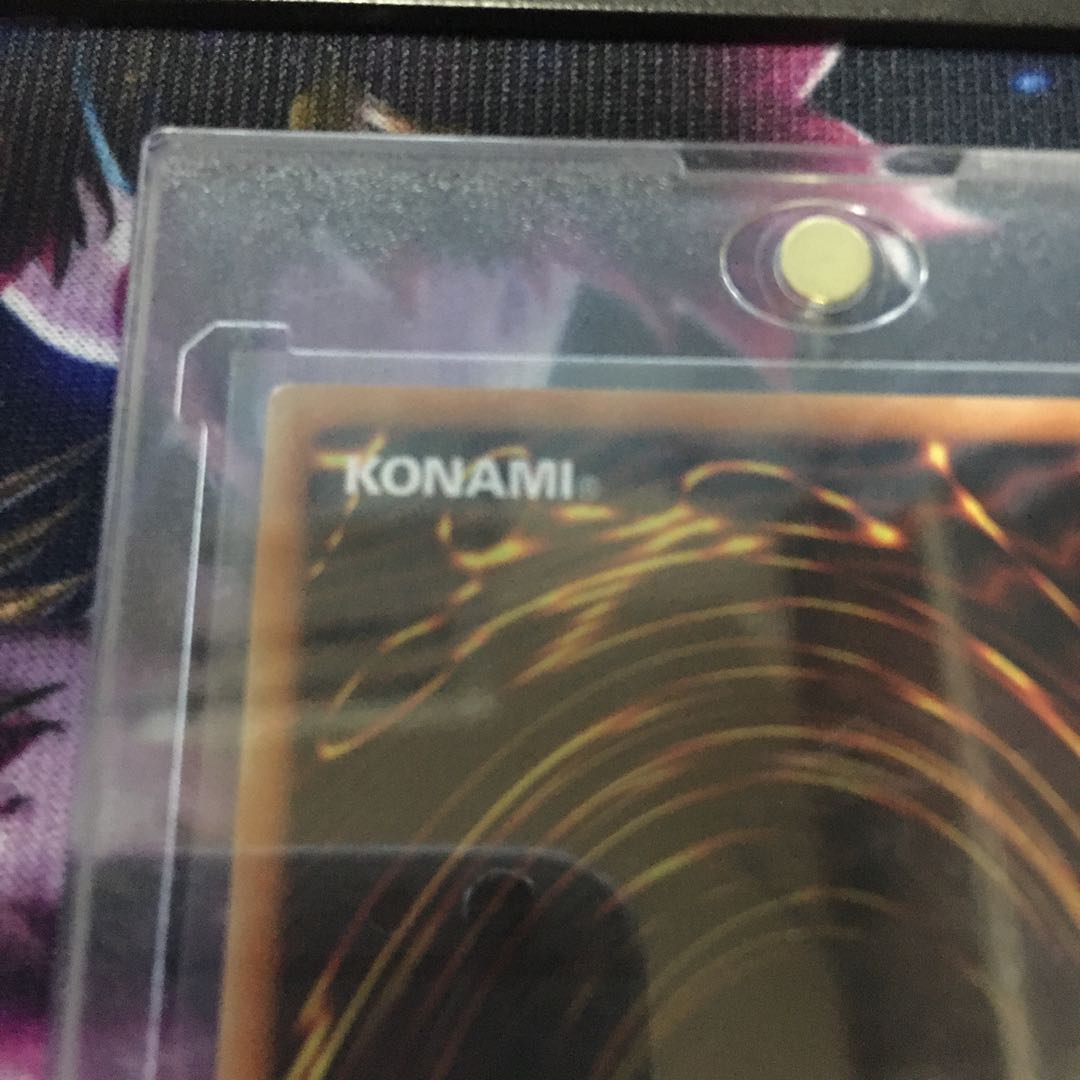 28日まで値引き　I：Pマスカレーナ 20th