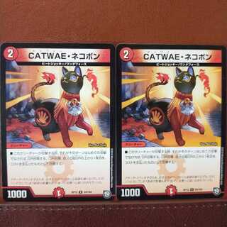 セット割引　CATWAE・ネコボン