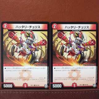 mri1644セット割引　ハッタリ・チュリス