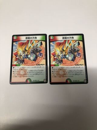 蒼龍の大地2枚セット