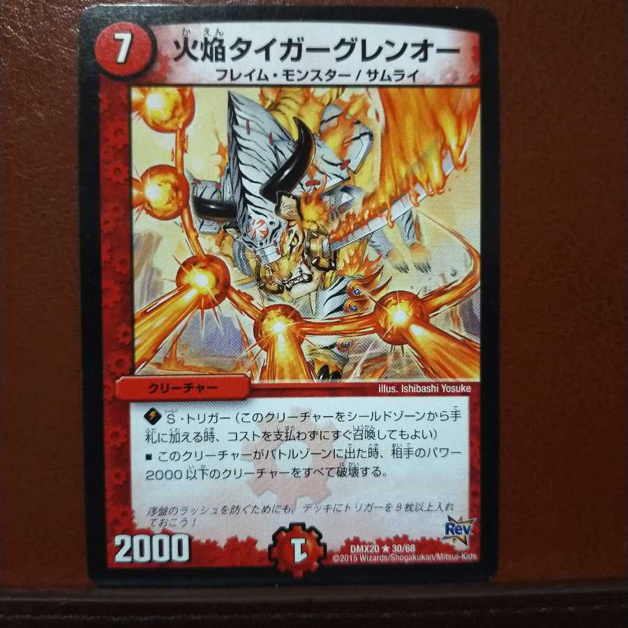 mri1665 set discount Fire Flame Tiger Glen O