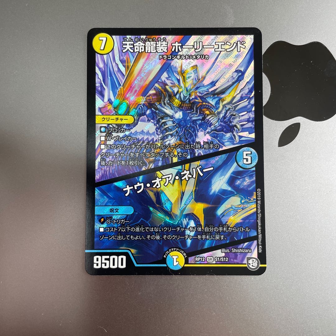 天命龍装 ホーリーエンド/ナウ・オア・ネバー