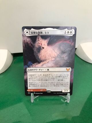 狡猾な相棒、ミラ【拡張アート】