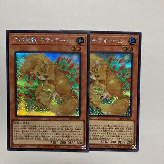 Holy Beast of Forest Kitty Tail Secret Rare 24PP-JP026 1枚