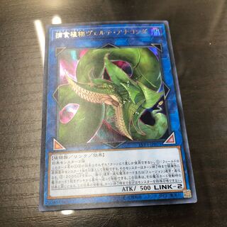 遊戯王　捕食植物ヴェルテアナコンダ