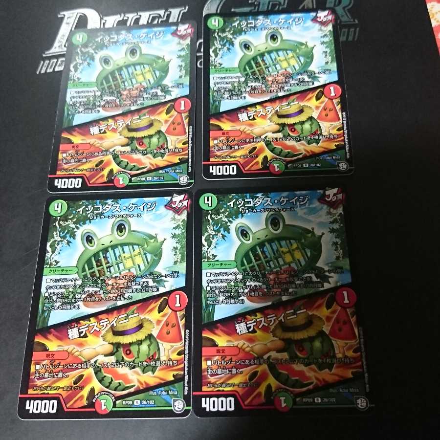 イッコダス・ケイジ｜種デスティニー