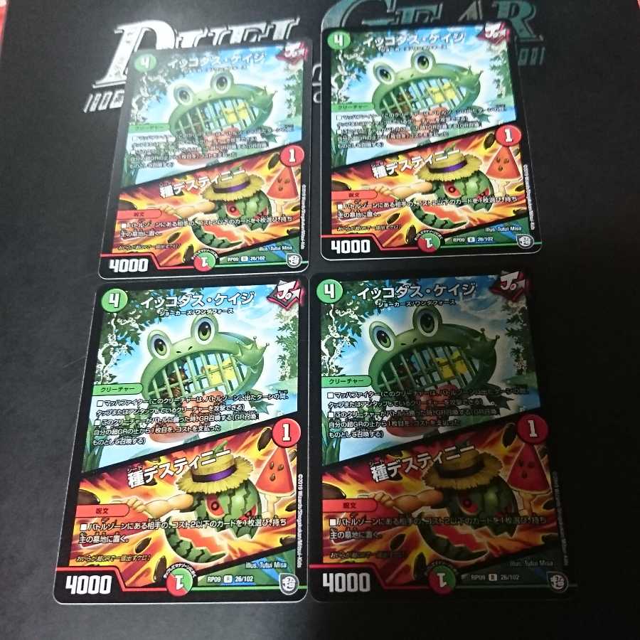 イッコダス・ケイジ｜種デスティニー