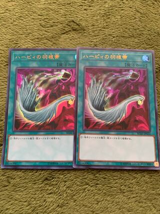 ハーピィの羽根帚 ウルトラレア2枚