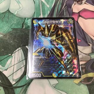 「雷光の聖騎士」