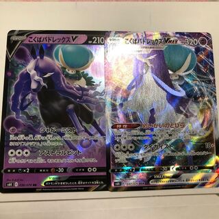 こくばバドレックスVMAX こくばバドレックスV セット