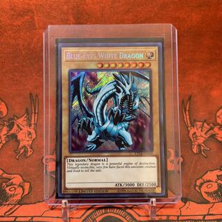 【カードケース付き】遊戯王 英語版 青眼の白龍 シク