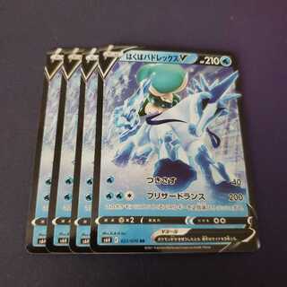 専用 VMAX1枚 はくばバドレックスV RR