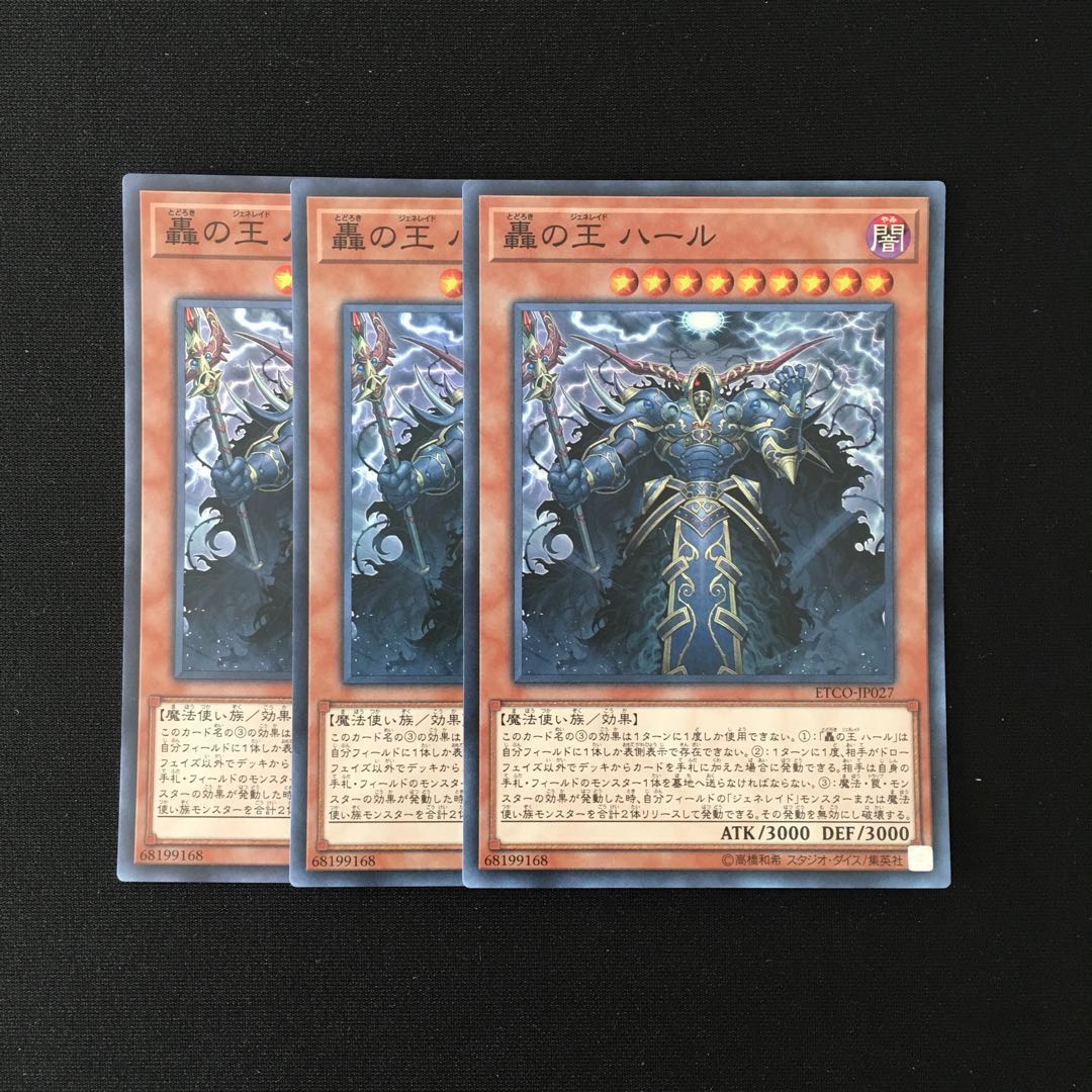 専用(二点)b309 轟の王 ハール スーレア トレトレ