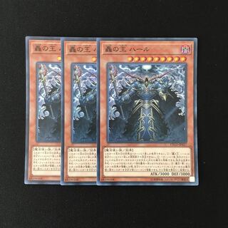 専用(二点)b309 轟の王 ハール スーレア  トレトレ