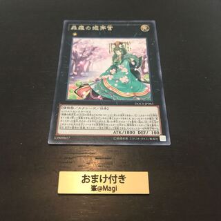 森羅の姫芽宮 レア