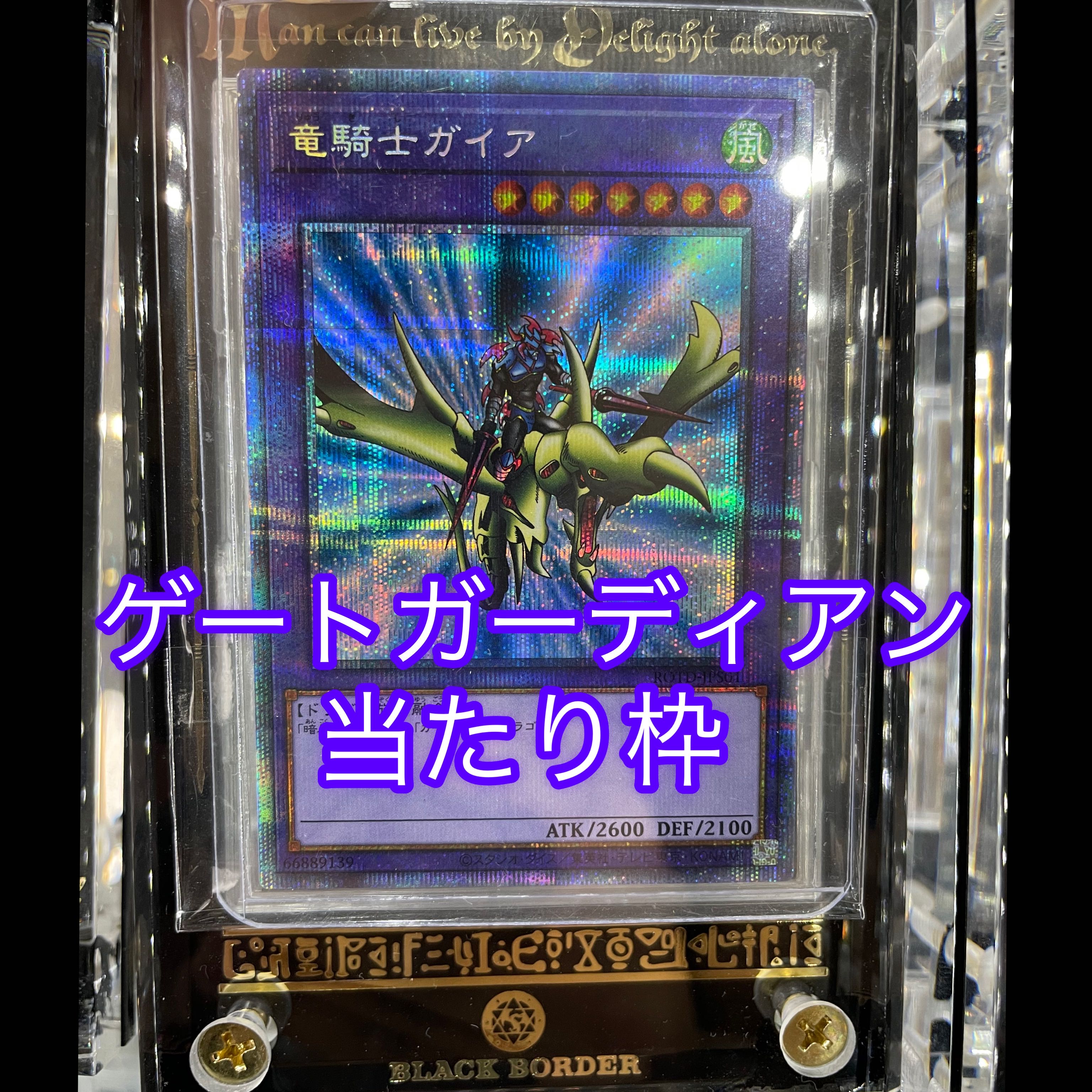 追加画像確認用★デュエルクエストオリパ★