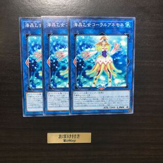 海晶乙女コーラルアネモネ ノーマル