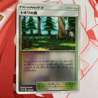 トキワの森 ミラー