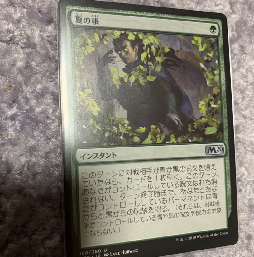 夏の帳　日本語