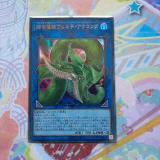 捕食植物ヴェルテ・アナコンダ ウルトラレア