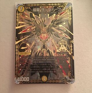 煌龍サッヴァーク 秘3