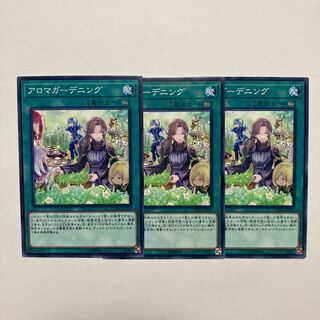 アロマガーデニング ノーマル JP059